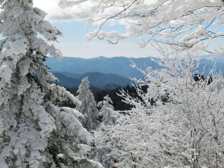 Fantastic Pet Friendly Cabin, Hot Tub, Fire Pit Sevierville Exterior foto